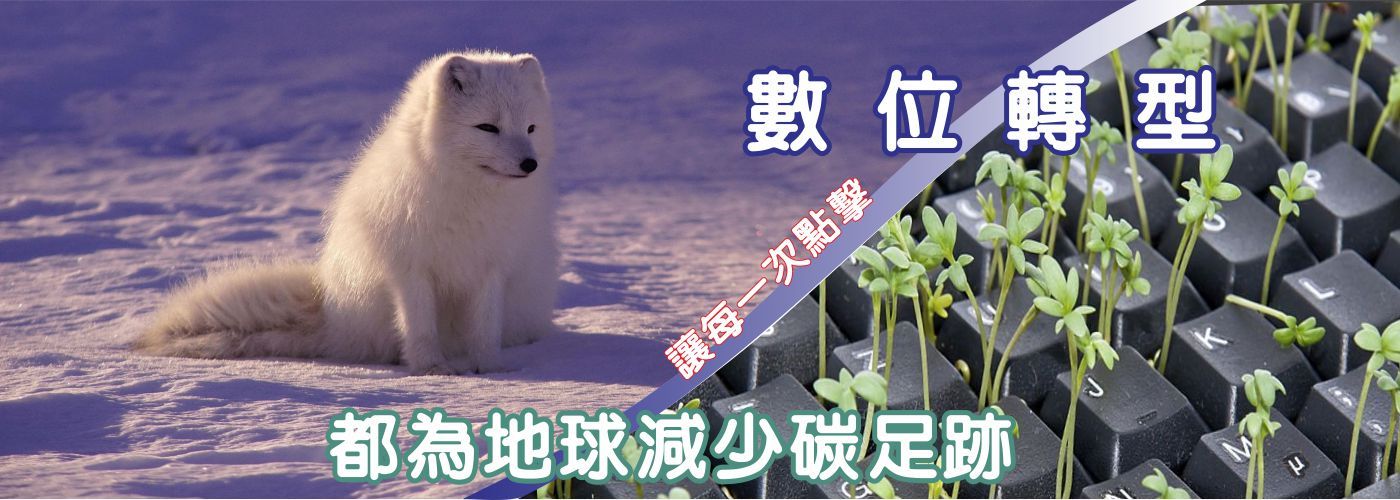 數位轉型,全端開發,#WordPress客製外掛,網站開發,全端開發,網站維護管理,應用程式開發